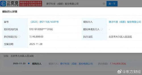 羅永浩公司再被執(zhí)行715萬(wàn) 回應(yīng)稱5年前已完成債務(wù)清償